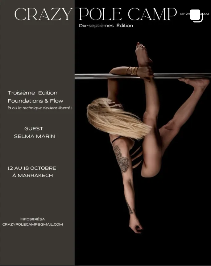 Crazy Pole Camp - Edition 3: Foundations & Flow